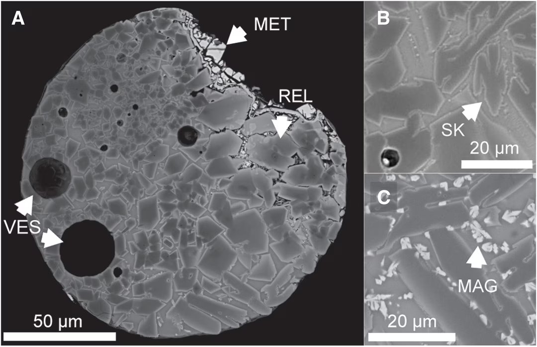 scumpo micrometeorit